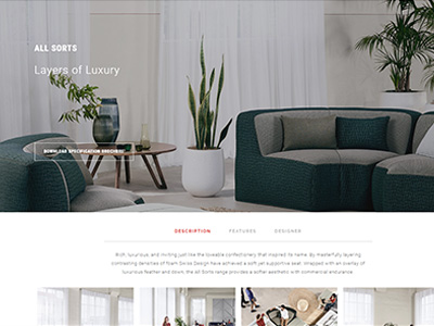 Swiss Design Website